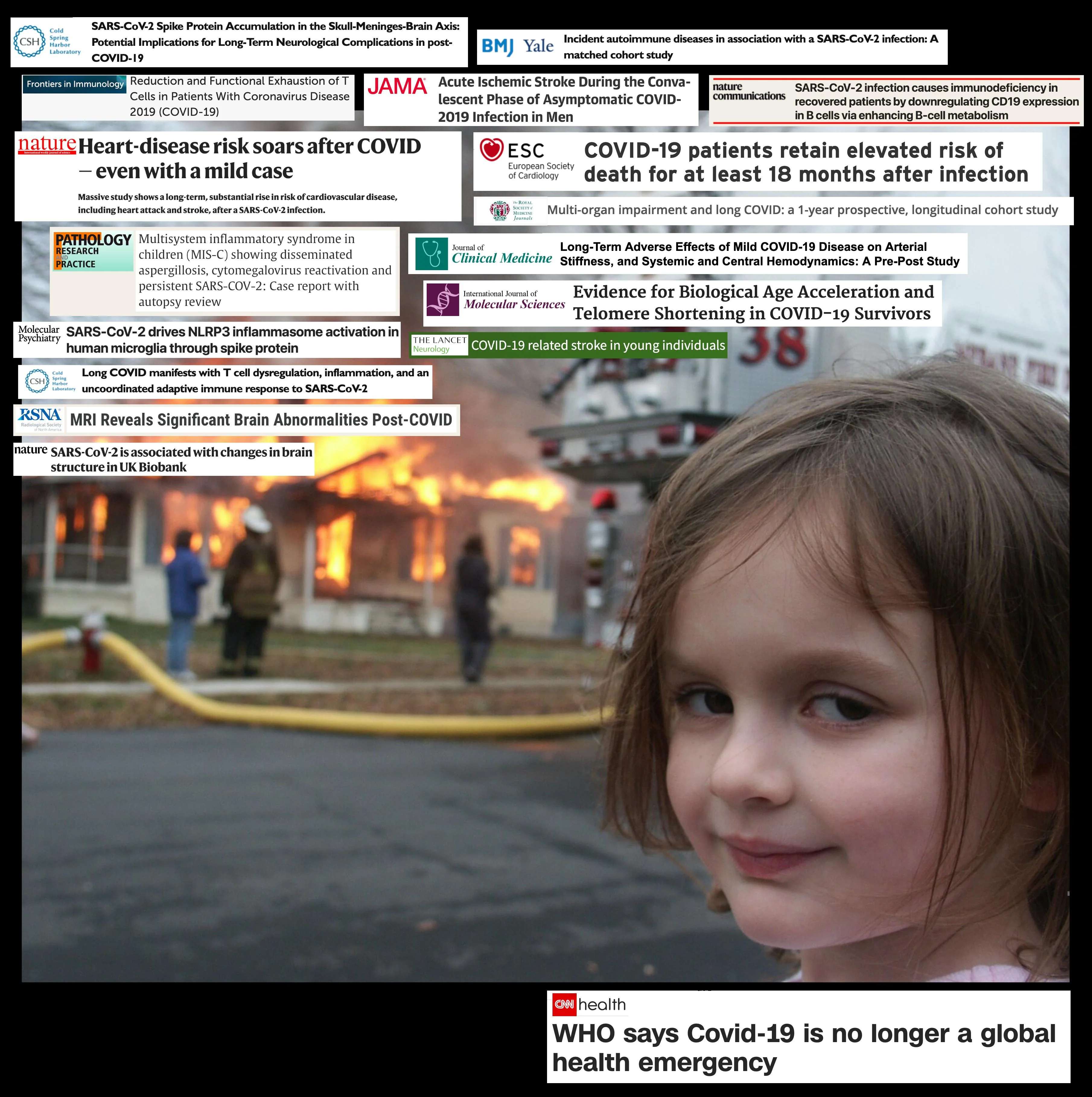 The meme of the child looking away from a burning building toward the camera with a deadpan look of bemused acceptance