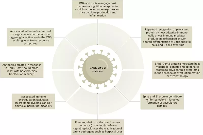 Mechanisms by which a SARS-CoV-2 reservoir may contribute to post-acute sequelae (Nature Immunology, 2023)